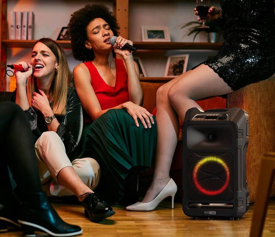 Deux entr&eacute;es mimcros