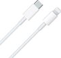 Apple USB-C vers Lightning