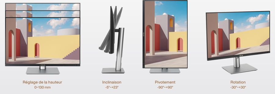 L'écran Asus ProArt Display PA248CRV peut pivoter pour une utilisation à la verticale.