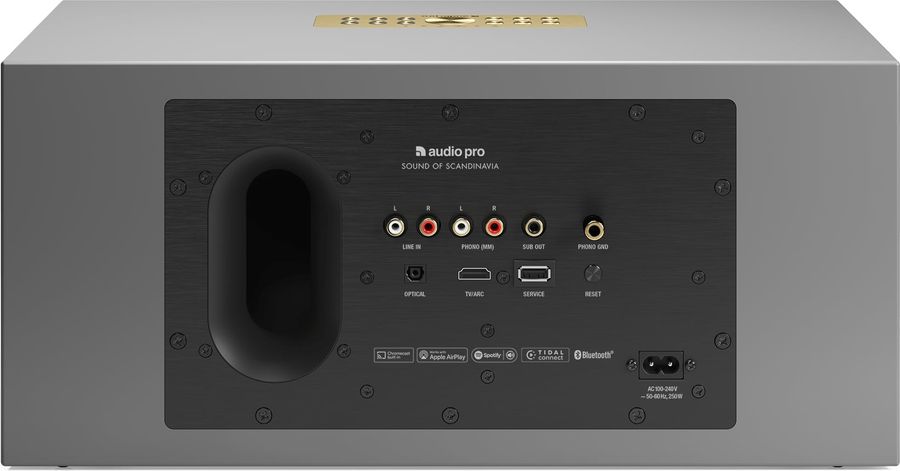 Vue de détail connectique de l'enceinte Audio Pro C20 Vue de détail connectique de l'enceinte Audio Pro C20