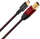 Audioquest Cinnamon USB B vers Type C (0,75 m)