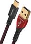 Audioquest Cinnamon USB A vers Type C