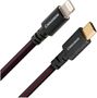 Audioquest Cinnamon USB-C vers Lightning