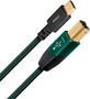 Audioquest Forest USB B vers USB-C
