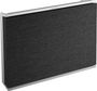 Bang & Olufsen Beosound Level