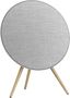 Bang & Olufsen Beosound A9 5th Gen