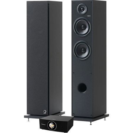 Cabasse AMP 240S