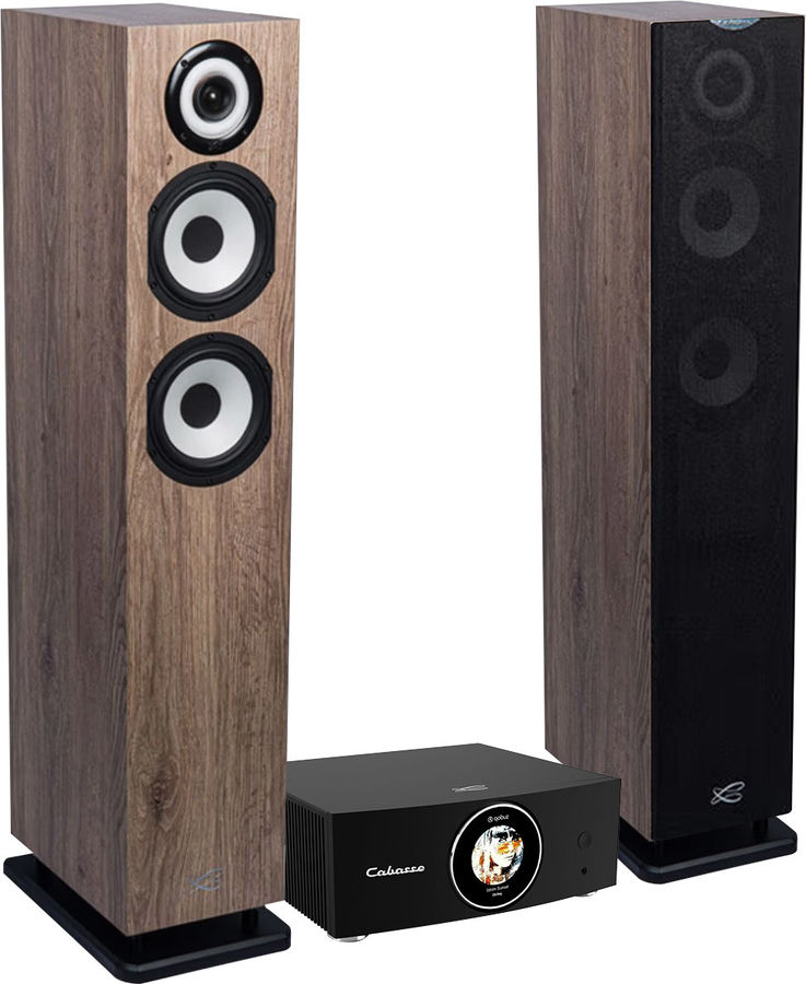 Cabasse AMP 240S + MC40 Java Chêne blanchi - Son-Vidéo.com