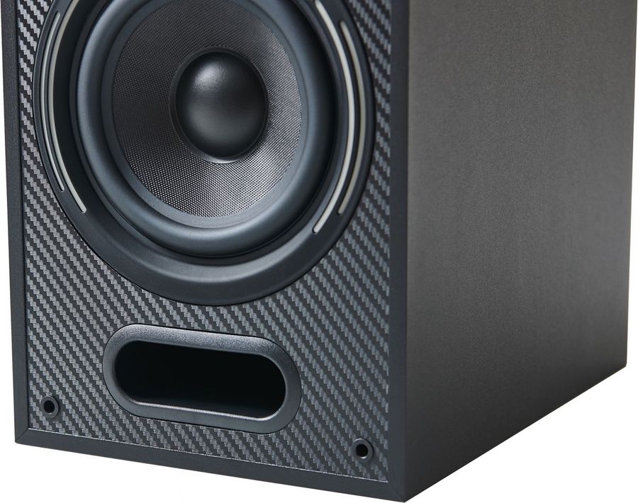 Vue détail HP 13 cm Elipson Horus 6B