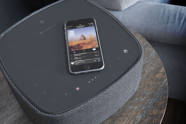 Cambridge Yoyo (L) Cambridge Yoyo (L)