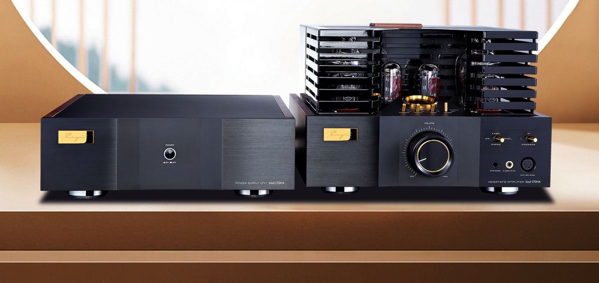 ampli Cayin Soul 170HA Alimentation externe de l'ampli Cayin Soul 170HA