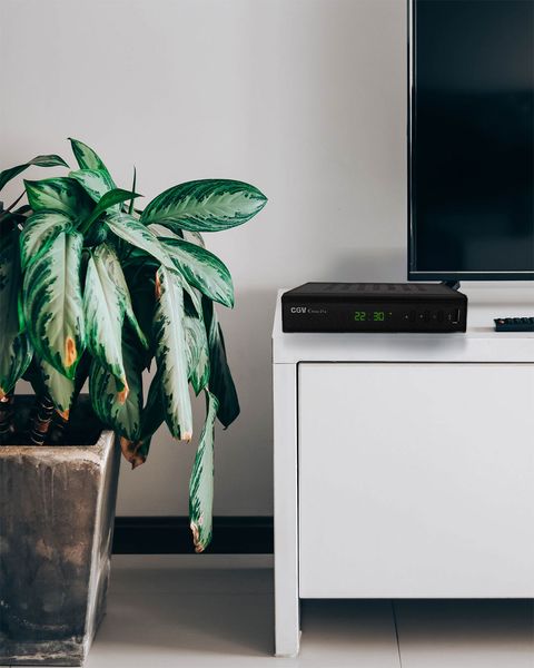 CGV ETIMO 2TC : mise en situation