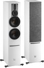 Dali Rubicon 6 C + Sound Hub