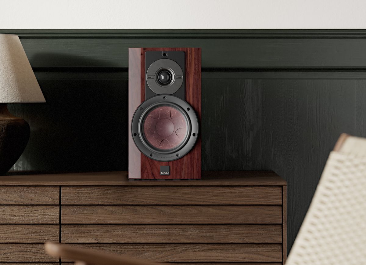 Haut-parleur de l'enceinte Dali Rubikore 2