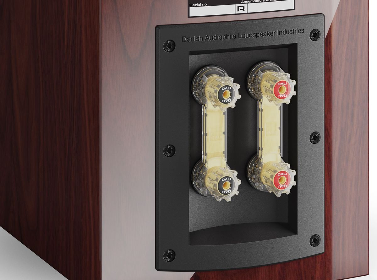 Borniers des enceintes Dali Rubikore 2