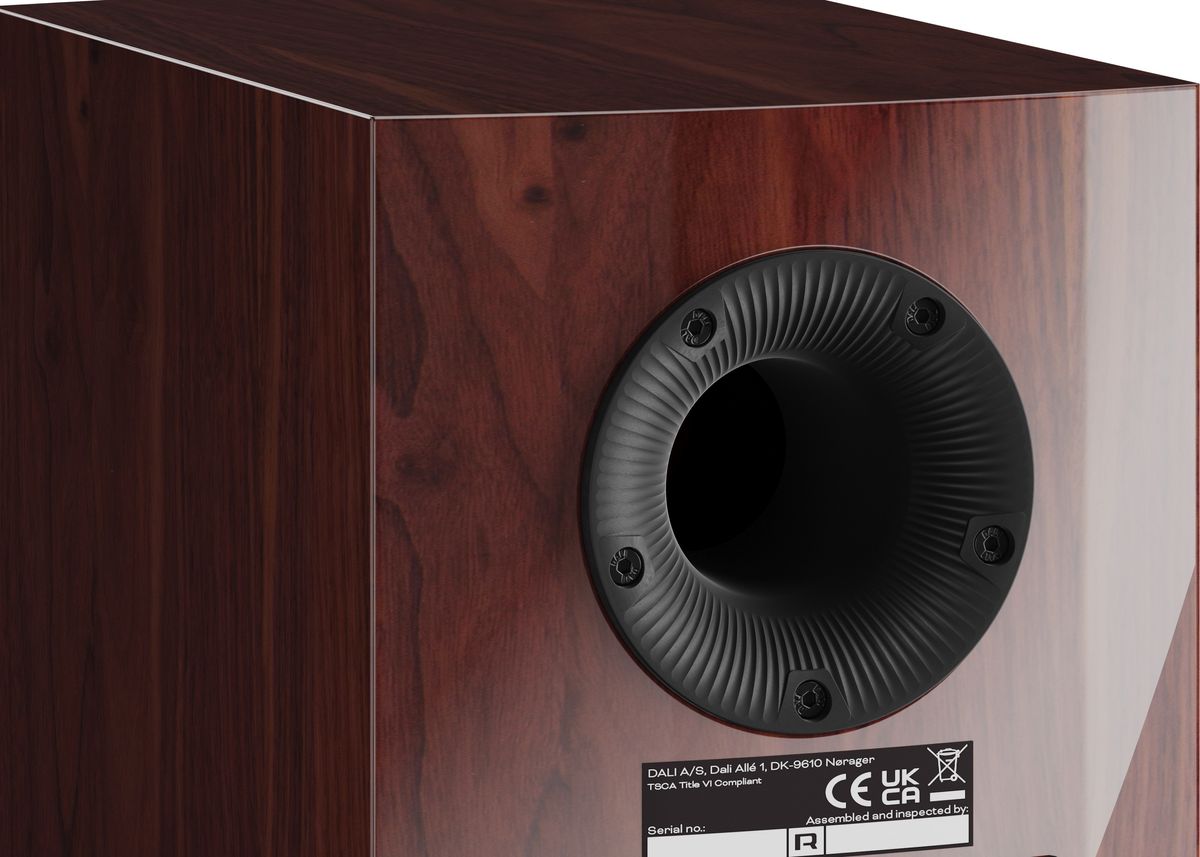 Bass-reflex de l'enceinte Dali Rubikore 2