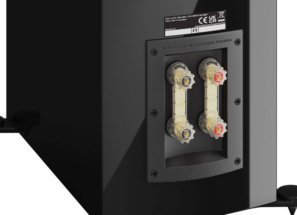 Borniers des enceintes Dali Rubikore 8