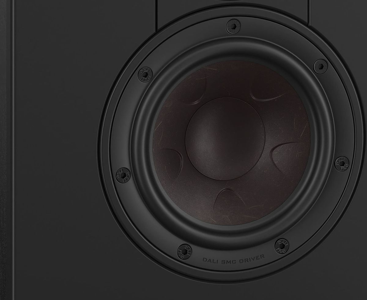 Dali Sonik On-Wall