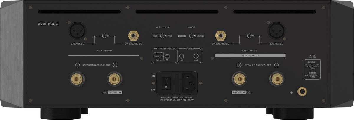 Connectique de l'ampli EverSolo AMP-F10