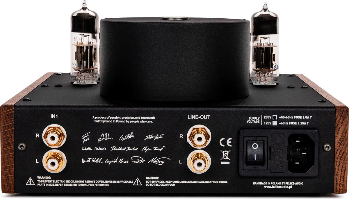 Connectique de l'ampli Feliks Audio Echo Classic