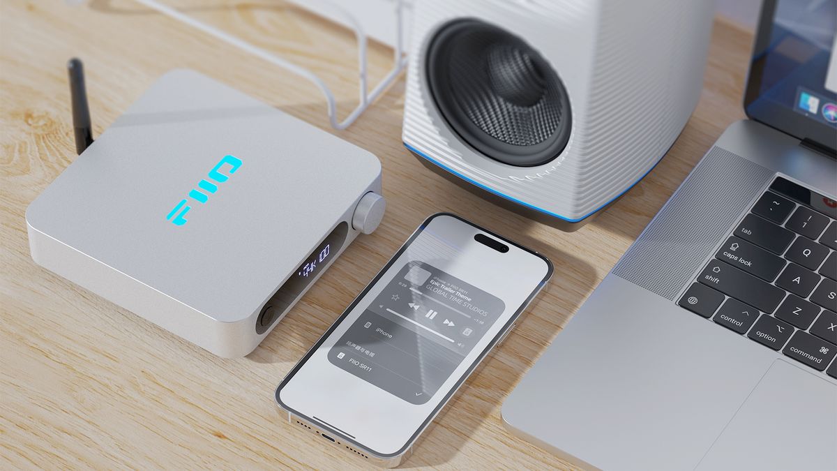 Lecteur réseau Fiio SR11