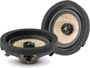 Focal IC MBZ 100 V2