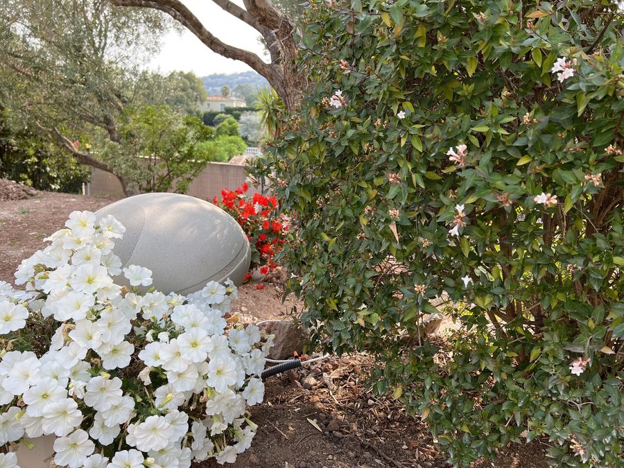 Mise en situation Focal OD Stone 8