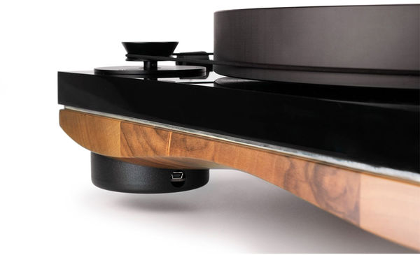 Gold Note Giglio poulie