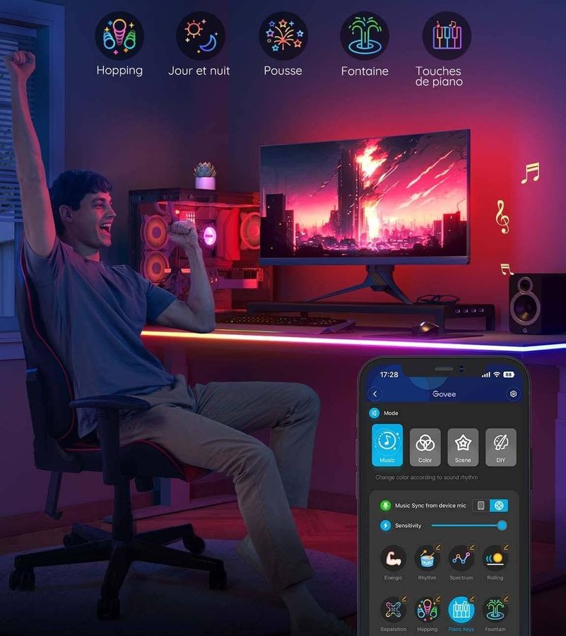 Application Govee App