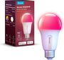Govee Smart Light Bulb Wifi