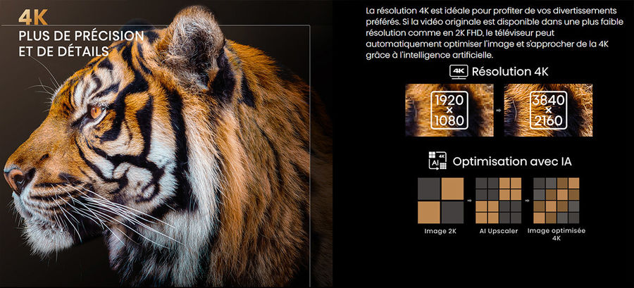 Hisense 100L9G-D12 Laser TV : MEMC