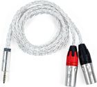 iFi Audio Câble symétrique 4.4mm vers XLR OFHC Silver (1 m)