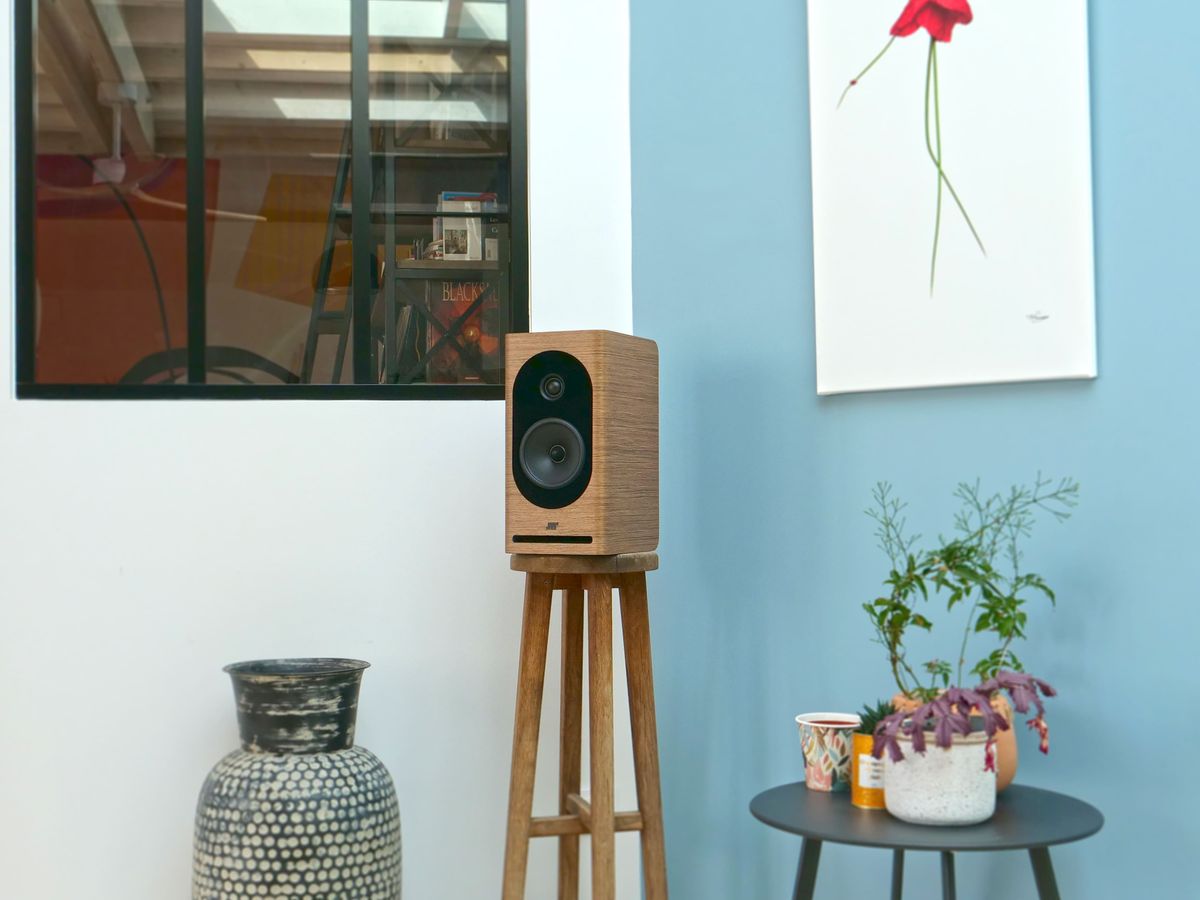 Enceinte Jean-Marie Reynaud Lucia MKII