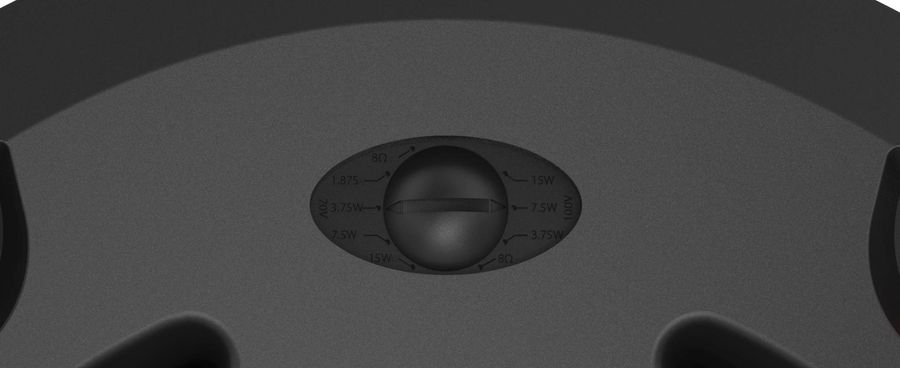 Vue de détail 100 V et 8 ohms