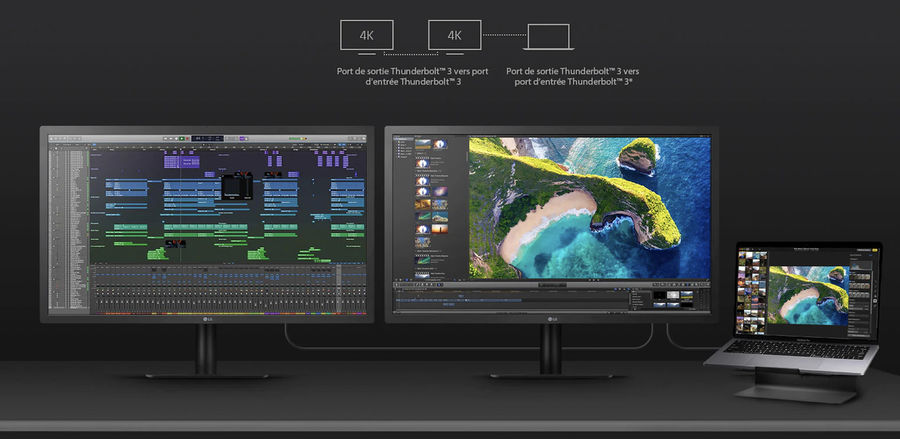 &eacute;cran gaming LG 24MD4KL-B