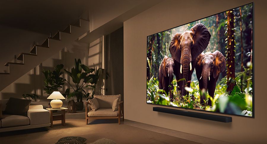 T&eacute;l&eacute;viseur LG 55QNED7 affichant des &eacute;l&eacute;phants en jungle, &eacute;cran mural grand format, couleurs vives et contraste &eacute;lev&eacute;.