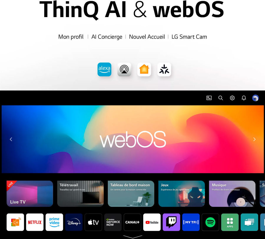 Interface WebOS
