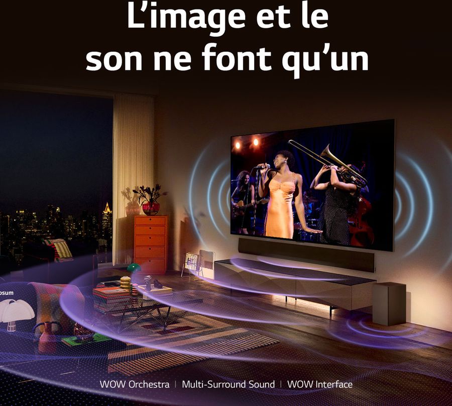 LG OLED48C4 : Dolby Atmos, WOW Synergy