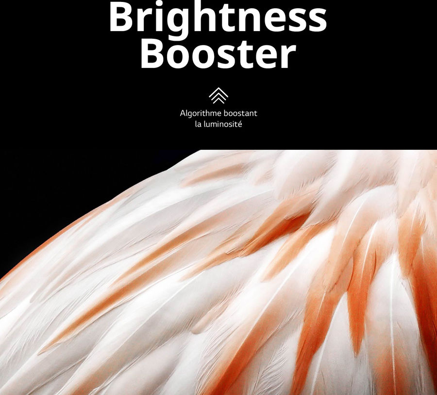  LG OLED65C3 : brightness booster