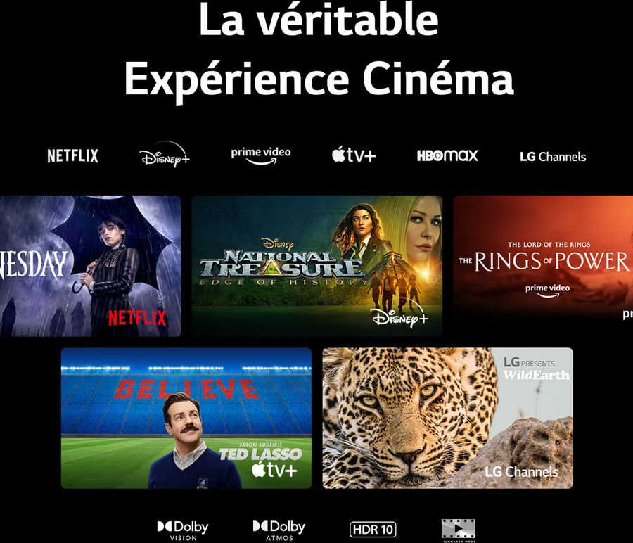 LG OLED65C4 : services de streaming