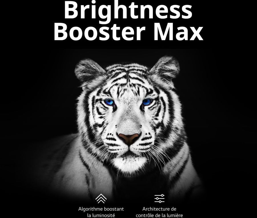  LG OLED77G3 : brightness booster max