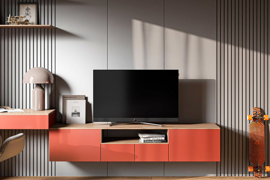  Loewe Bild C.43 : mise en situation