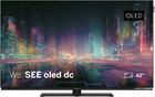 Loewe We. SEE 42 OLED dual channel
