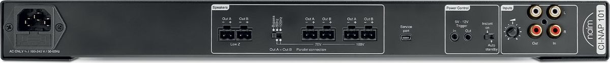 Connectique de l'ampli de puissance Naim CI-NAP 101