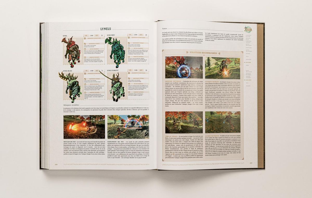 Nintendo Guide Zelda : Tears Of The Kingdom - Version Collector