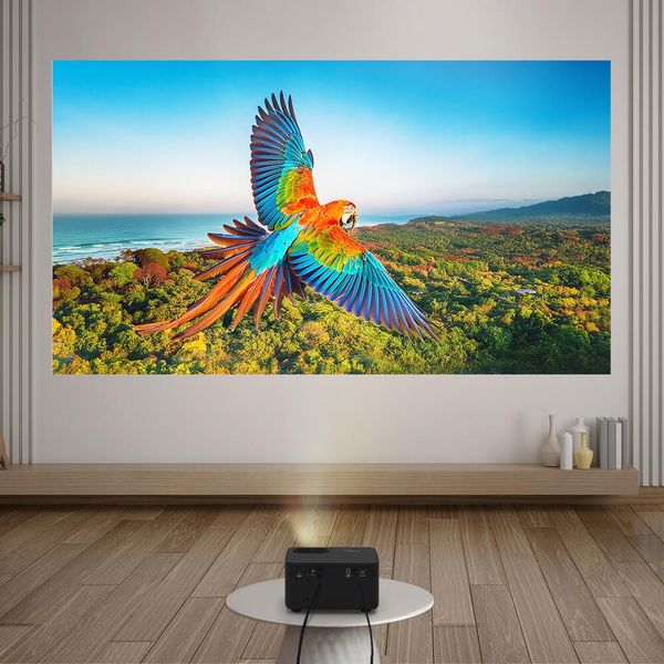 Un projecteur UHD 4K Optoma Photon Life PK31 affiche une image très détaillée d’un perroquet en plein vol.