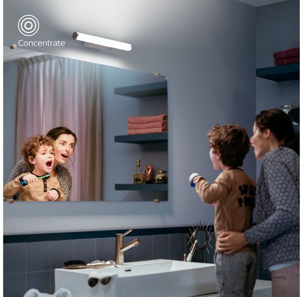 Philips Hue White Ambiance Adore Applique