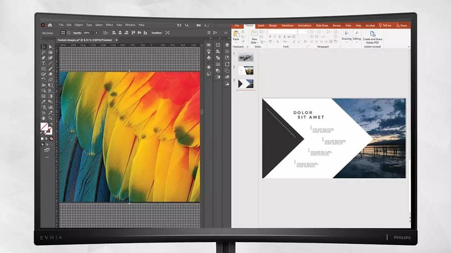 Philips Momentum 436M6VBPAB : affichage multi-vues
