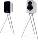 Q Acoustics Concept 300