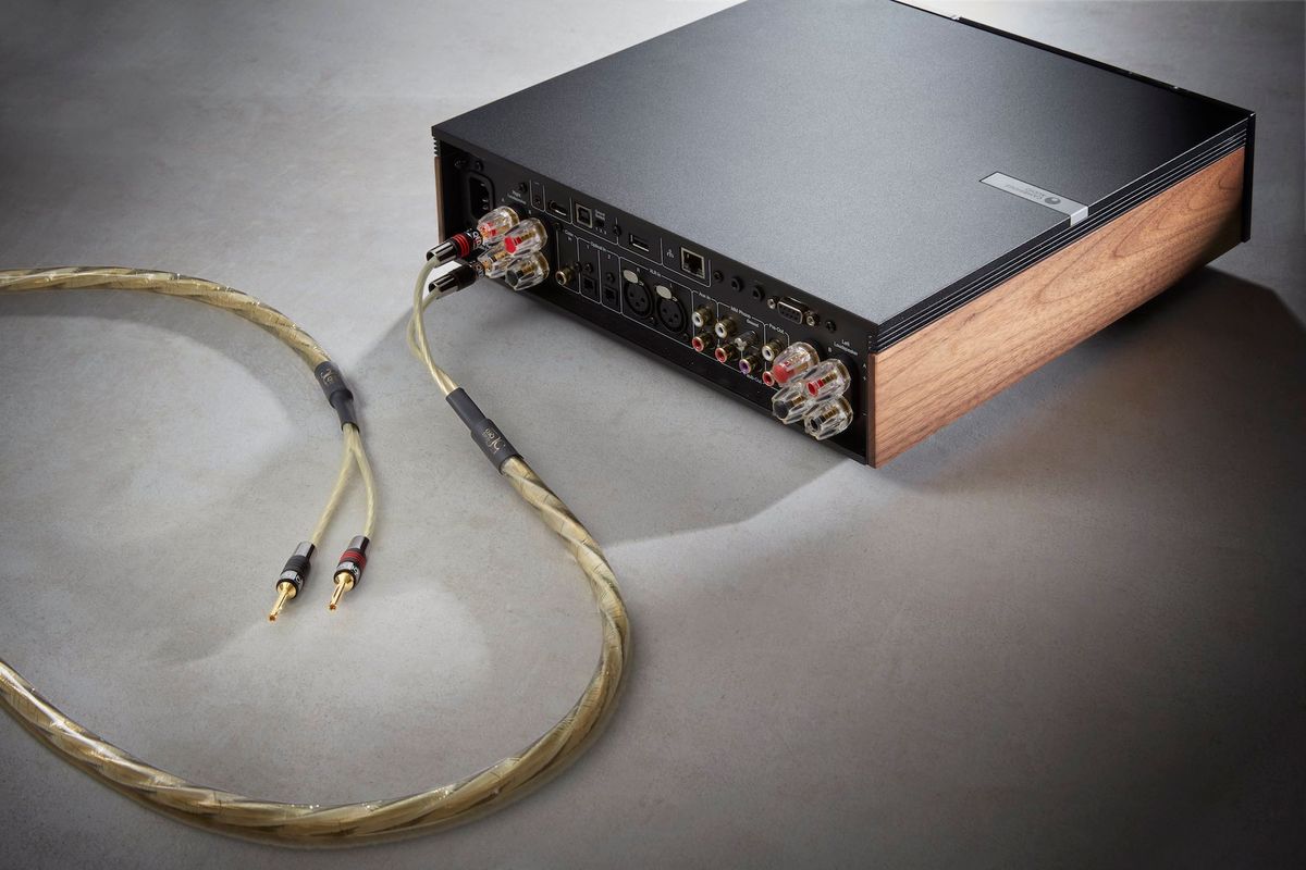 Câble d'enceintes QED Golden Anniversary XT